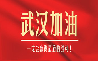 心系前线，晟元数据为抗击疫情提供技术支持!